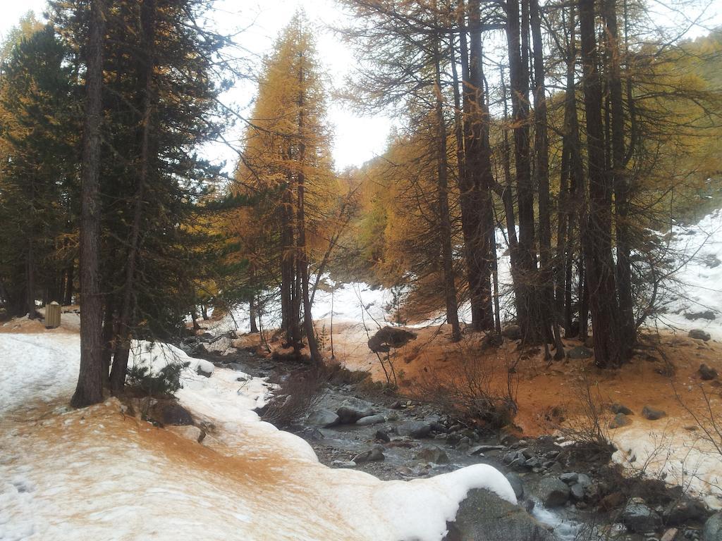 Chalet Rin Da Pemont Livigno Luaran gambar